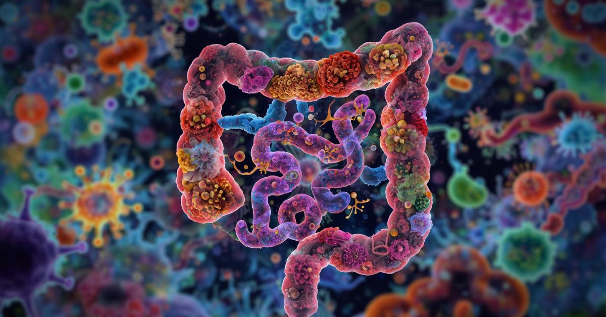 Why Gut Health Matters More Than Many People Realize